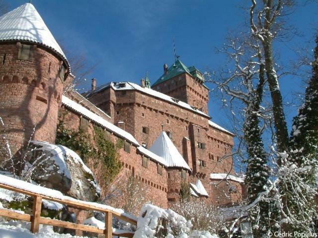 Studio Sisley Lägenhet Eschau Exteriör bild